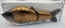 Roman Made Mudai Kinbuna (gold) Pic 3.webp